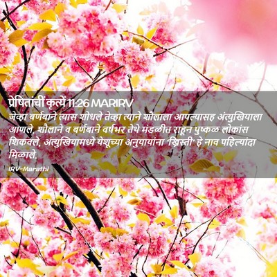 Picture 02 - प्रेषितांचीं कृत्यें 11:26 MARIRV - जेव्हा बर्णबाने - Bible Verse Picture