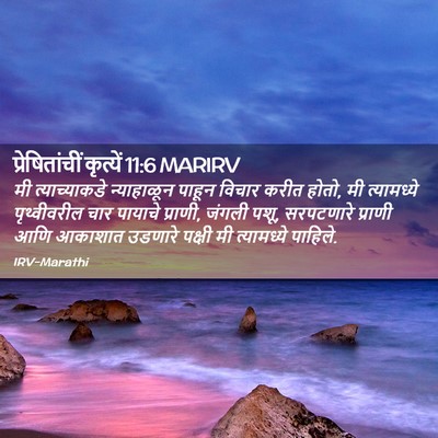 Picture 02 - प्रेषितांचीं कृत्यें 11:6 MARIRV - मी त्याच्याकडे - Bible Verse Picture