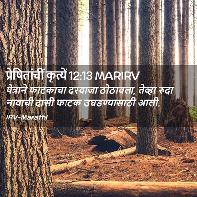 Picture 02 - प्रेषितांचीं कृत्यें 12:13 MARIRV - पेत्राने फाटकाचा - Bible Verse Picture