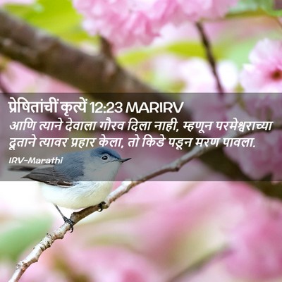 Picture 02 - प्रेषितांचीं कृत्यें 12:23 MARIRV - आणि त्याने देवाला - Bible Verse Picture