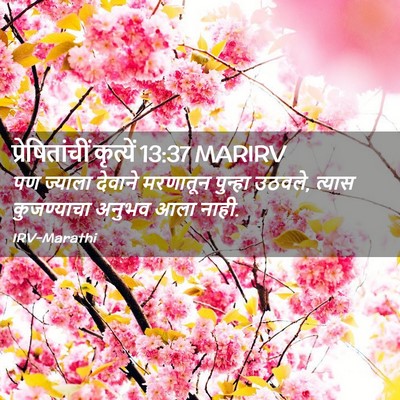 Picture 02 - प्रेषितांचीं कृत्यें 13:37 MARIRV - पण ज्याला देवाने - Bible Verse Picture