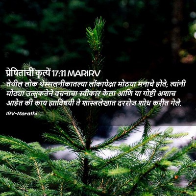 Picture 02 - प्रेषितांचीं कृत्यें 17:11 MARIRV - तेथील लोक - Bible Verse Picture