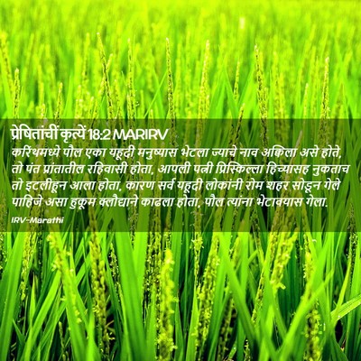 Picture 02 - प्रेषितांचीं कृत्यें 18:2 MARIRV - करिंथमध्ये पौल - Bible Verse Picture