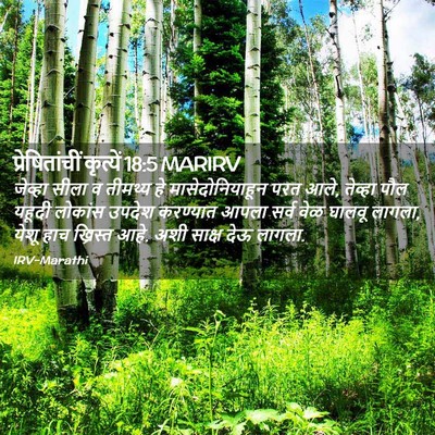 Picture 02 - प्रेषितांचीं कृत्यें 18:5 MARIRV - जेव्हा सीला व - Bible Verse Picture