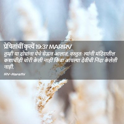 Picture 02 - प्रेषितांचीं कृत्यें 19:37 MARIRV - तुम्ही या दोघांना - Bible Verse Picture