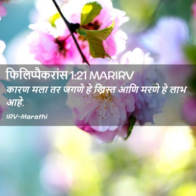 Picture 02 - फिलिप्पैकरांस 1:21 MARIRV - कारण मला तर जगणे हे - Bible Verse Picture