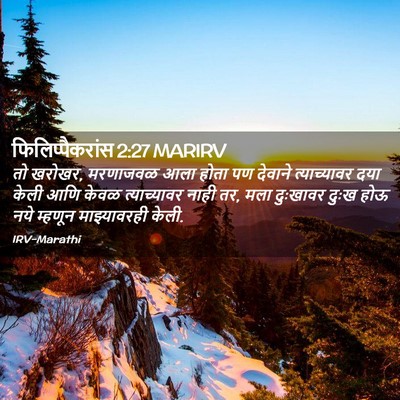 Picture 02 - फिलिप्पैकरांस 2:27 MARIRV - तो खरोखर, मरणाजवळ - Bible Verse Picture