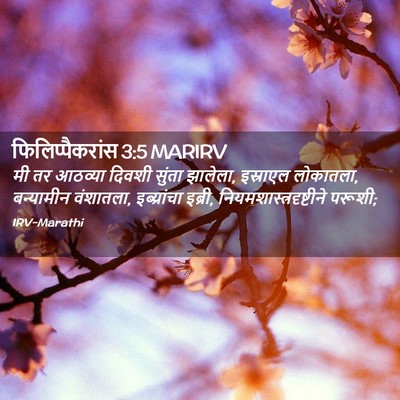 Picture 02 - फिलिप्पैकरांस 3:5 MARIRV - मी तर आठव्या दिवशी - Bible Verse Picture