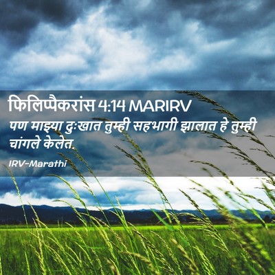Picture 02 - फिलिप्पैकरांस 4:14 MARIRV - पण माझ्या दुःखात - Bible Verse Picture