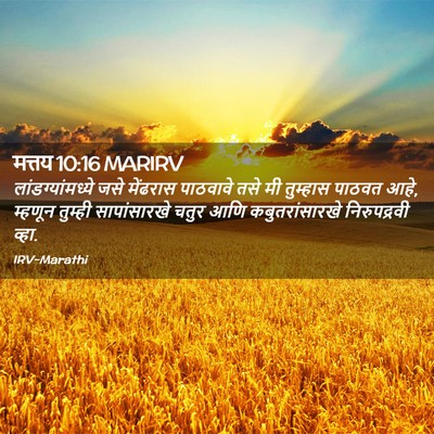 Picture 02 - मत्तय 10:16 MARIRV - लांडग्यांमध्ये - Bible Verse Picture