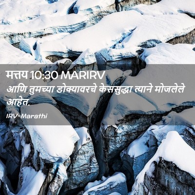 Picture 02 - मत्तय 10:30 MARIRV - आणि तुमच्या - Bible Verse Picture