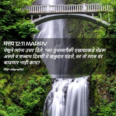 Picture 02 - मत्तय 12:11 MARIRV - येशूने त्यांना - Bible Verse Picture