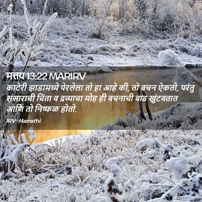 Picture 02 - मत्तय 13:22 MARIRV - काटेरी झाडामध्ये - Bible Verse Picture