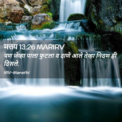 Picture 02 - मत्तय 13:26 MARIRV - पण जेव्हा पाला - Bible Verse Picture