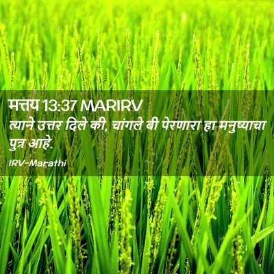 Picture 02 - मत्तय 13:37 MARIRV - त्याने उत्तर दिले - Bible Verse Picture