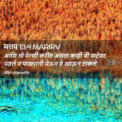 Picture 02 - मत्तय 13:4 MARIRV - आणि तो पेरणी करीत - Bible Verse Picture