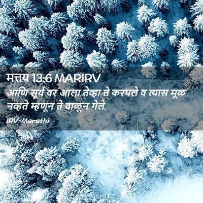 Picture 02 - मत्तय 13:6 MARIRV - आणि सूर्य वर आला - Bible Verse Picture