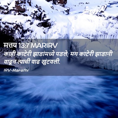 Picture 02 - मत्तय 13:7 MARIRV - काही काटेरी - Bible Verse Picture