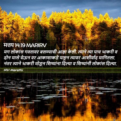 Picture 02 - मत्तय 14:19 MARIRV - मग लोकांस गवतावर - Bible Verse Picture