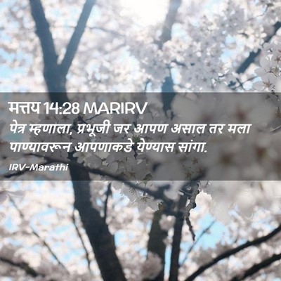 Picture 02 - मत्तय 14:28 MARIRV - पेत्र म्हणाला, - Bible Verse Picture