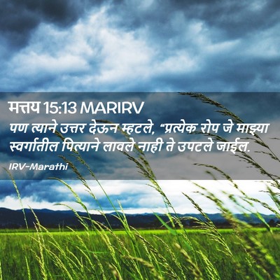 Picture 02 - मत्तय 15:13 MARIRV - पण त्याने उत्तर - Bible Verse Picture