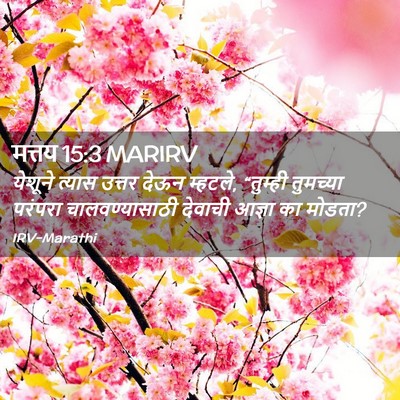 Picture 02 - मत्तय 15:3 MARIRV - येशूने त्यास - Bible Verse Picture