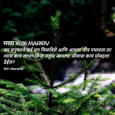 Picture 02 - मत्तय 16:26 MARIRV - जर मनुष्याने सर्व - Bible Verse Picture