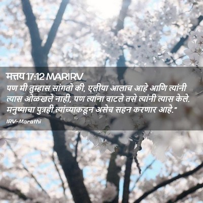 Picture 02 - मत्तय 17:12 MARIRV - पण मी तुम्हास - Bible Verse Picture