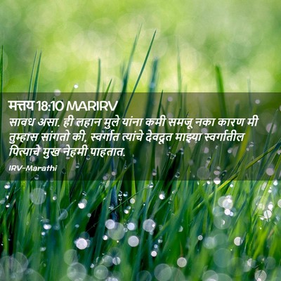 Picture 02 - मत्तय 18:10 MARIRV - सावध असा. ही लहान - Bible Verse Picture