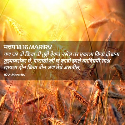 Picture 02 - मत्तय 18:16 MARIRV - पण जर तो किंवा ती - Bible Verse Picture