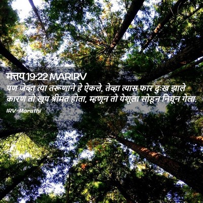 Picture 02 - मत्तय 19:22 MARIRV - पण जेव्हा त्या - Bible Verse Picture