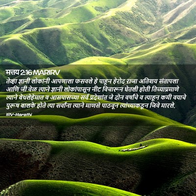 Picture 02 - मत्तय 2:16 MARIRV - तेव्हा ज्ञानी - Bible Verse Picture