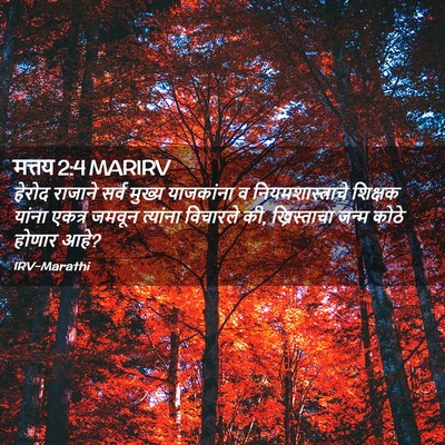 Picture 02 - मत्तय 2:4 MARIRV - हेरोद राजाने सर्व - Bible Verse Picture