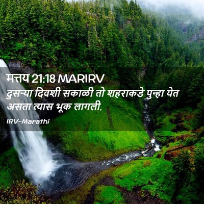 Picture 02 - मत्तय 21:18 MARIRV - दुसऱ्या दिवशी - Bible Verse Picture