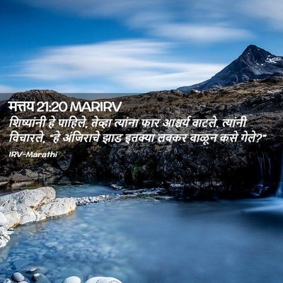 Picture 02 - मत्तय 21:20 MARIRV - शिष्यांनी हे - Bible Verse Picture