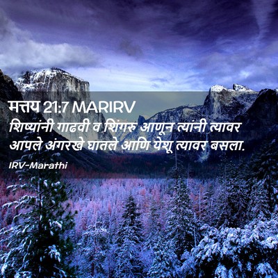 Picture 02 - मत्तय 21:7 MARIRV - शिष्यांनी गाढवी व - Bible Verse Picture