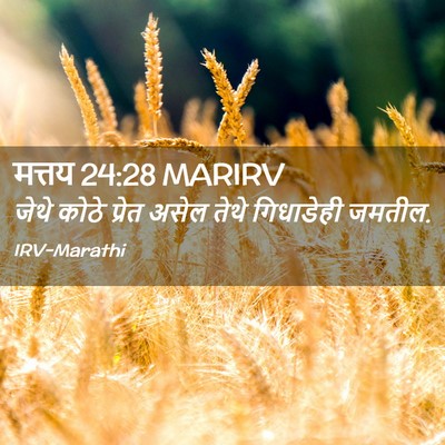 Picture 02 - मत्तय 24:28 MARIRV - जेथे कोठे प्रेत - Bible Verse Picture