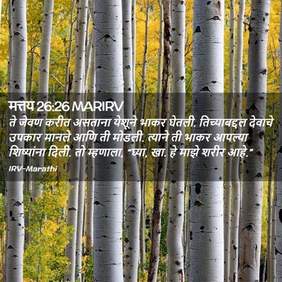 Picture 02 - मत्तय 26:26 MARIRV - ते जेवण करीत - Bible Verse Picture
