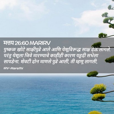 Picture 02 - मत्तय 26:60 MARIRV - पुष्कळ खोटे - Bible Verse Picture