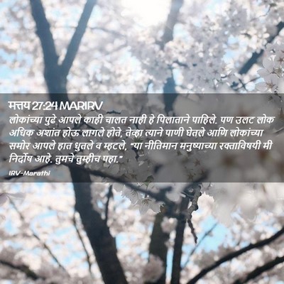 Picture 02 - मत्तय 27:24 MARIRV - लोकांच्या पुढे - Bible Verse Picture