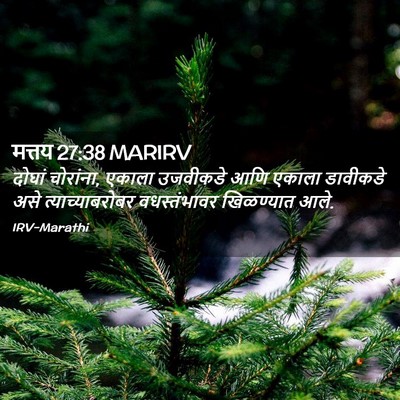 Picture 02 - मत्तय 27:38 MARIRV - दोघां चोरांना, - Bible Verse Picture