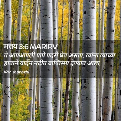 Picture 02 - मत्तय 3:6 MARIRV - ते आपआपली पापे - Bible Verse Picture