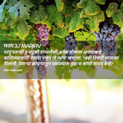Picture 02 - मत्तय 3:7 MARIRV - परंतु परूशी व - Bible Verse Picture