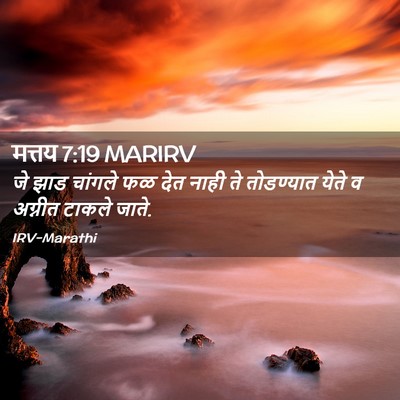 Picture 02 - मत्तय 7:19 MARIRV - जे झाड चांगले फळ - Bible Verse Picture