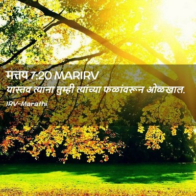 Picture 02 - मत्तय 7:20 MARIRV - यास्तव त्यांना - Bible Verse Picture