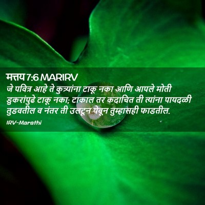 Picture 02 - मत्तय 7:6 MARIRV - जे पवित्र आहे ते - Bible Verse Picture
