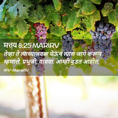 Picture 02 - मत्तय 8:25 MARIRV - तेव्हा ते - Bible Verse Picture