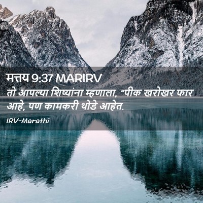 Picture 02 - मत्तय 9:37 MARIRV - तो आपल्या - Bible Verse Picture