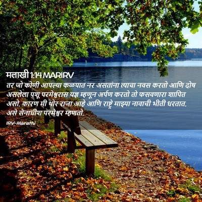 Picture 02 - मलाखी 1:14 MARIRV - तर जो कोणी आपल्या - Bible Verse Picture