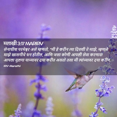 Picture 02 - मलाखी 3:17 MARIRV - सेनाधीश परमेश्वर - Bible Verse Picture